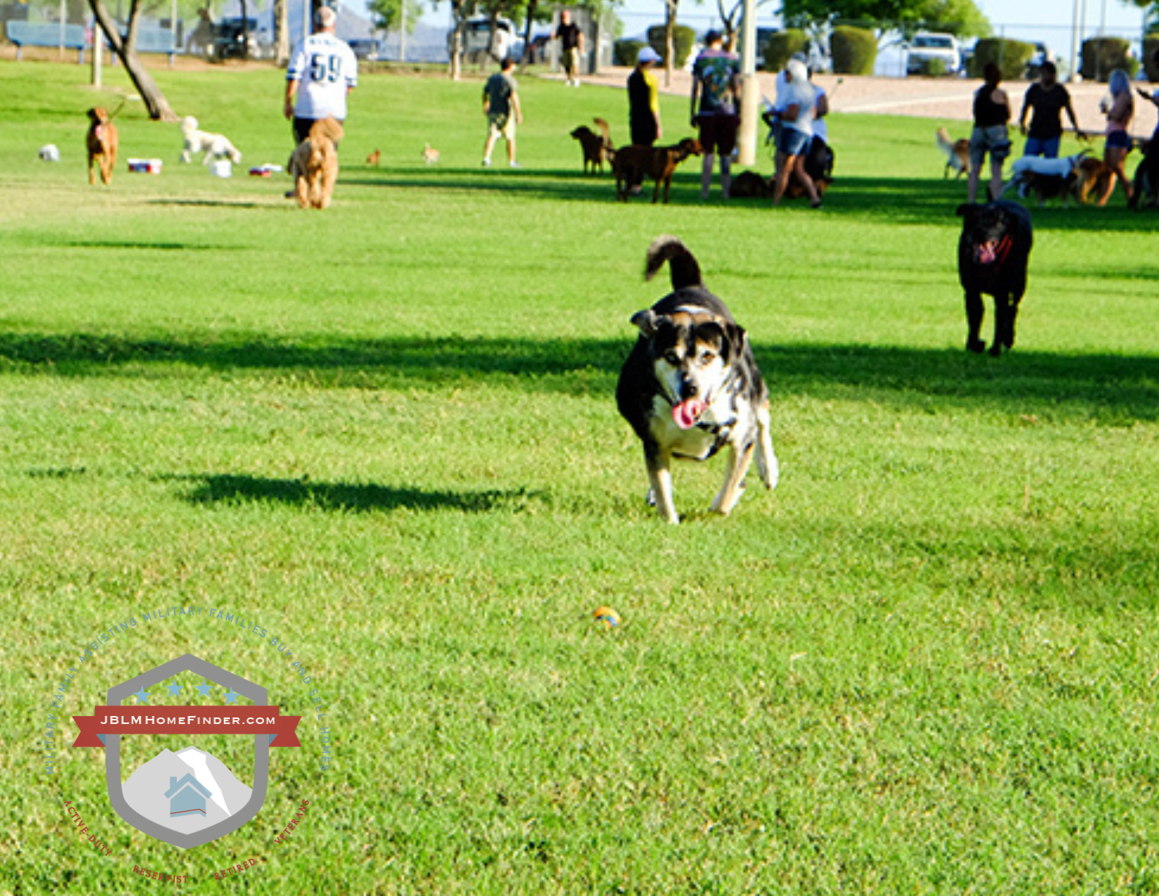 Best dog parks in Thurston County header image.