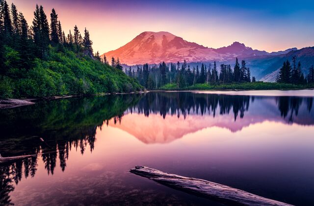 Things to do near JBLM header image.