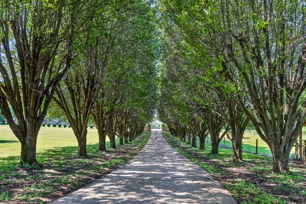 Why Cookeville, Tennessee Real Estate Shouldn’t Be Overlooked header image.