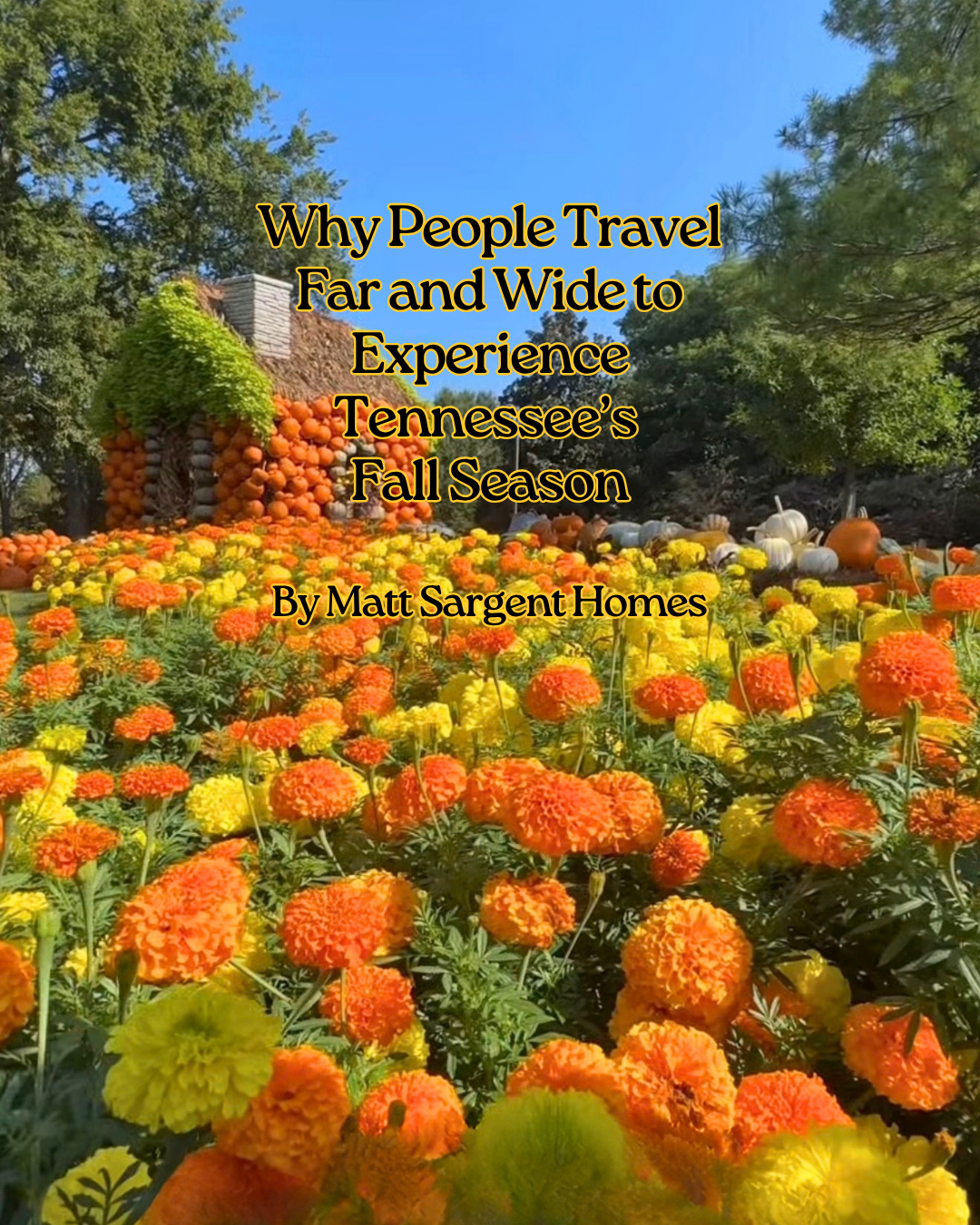 Why People Travel Far and Wide to Experience Tennessee’s Fall Season header image.