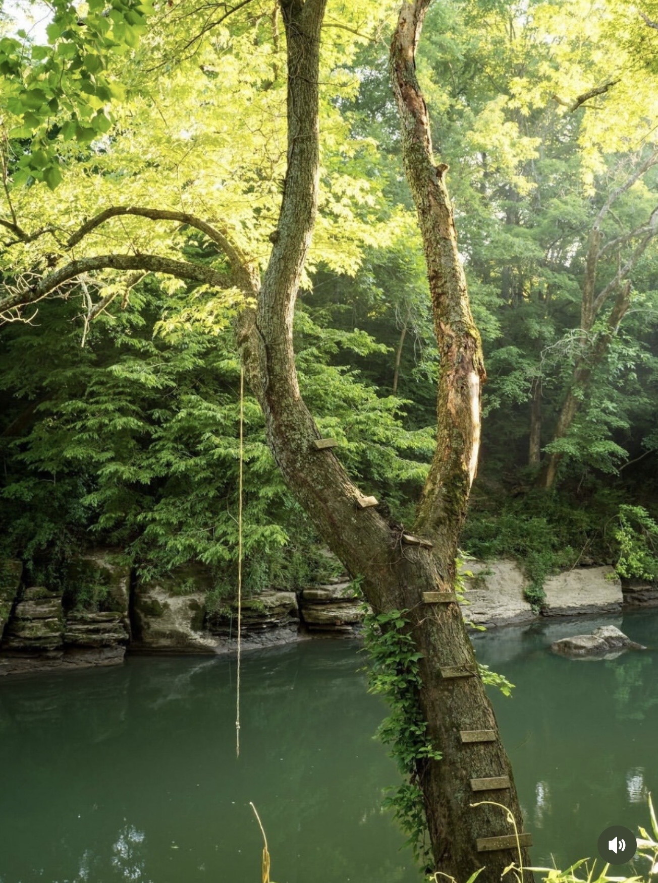 Maybe Tennessee Is Worth the Move After All header image.