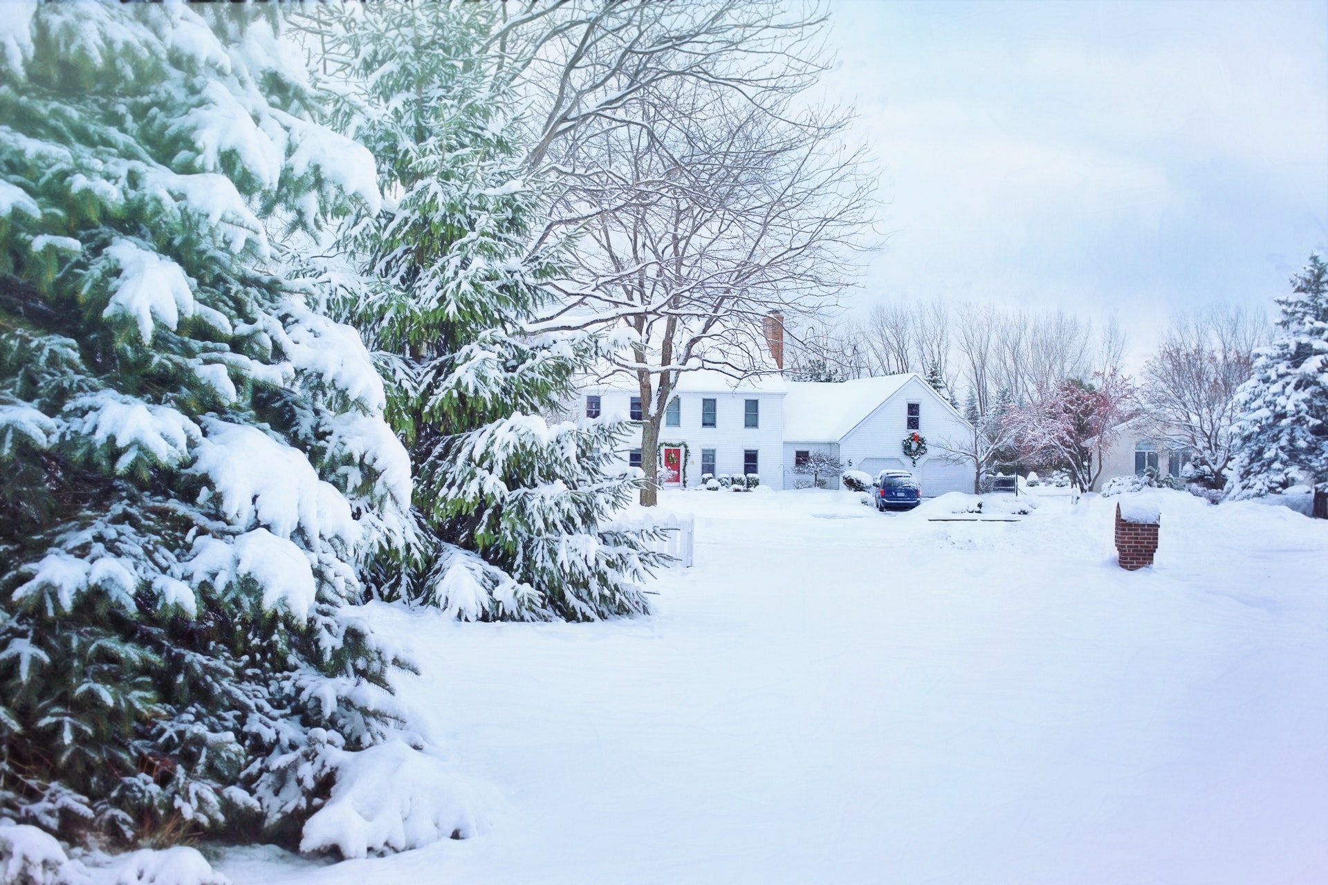 Should You Buy/Sell This Winter? header image.