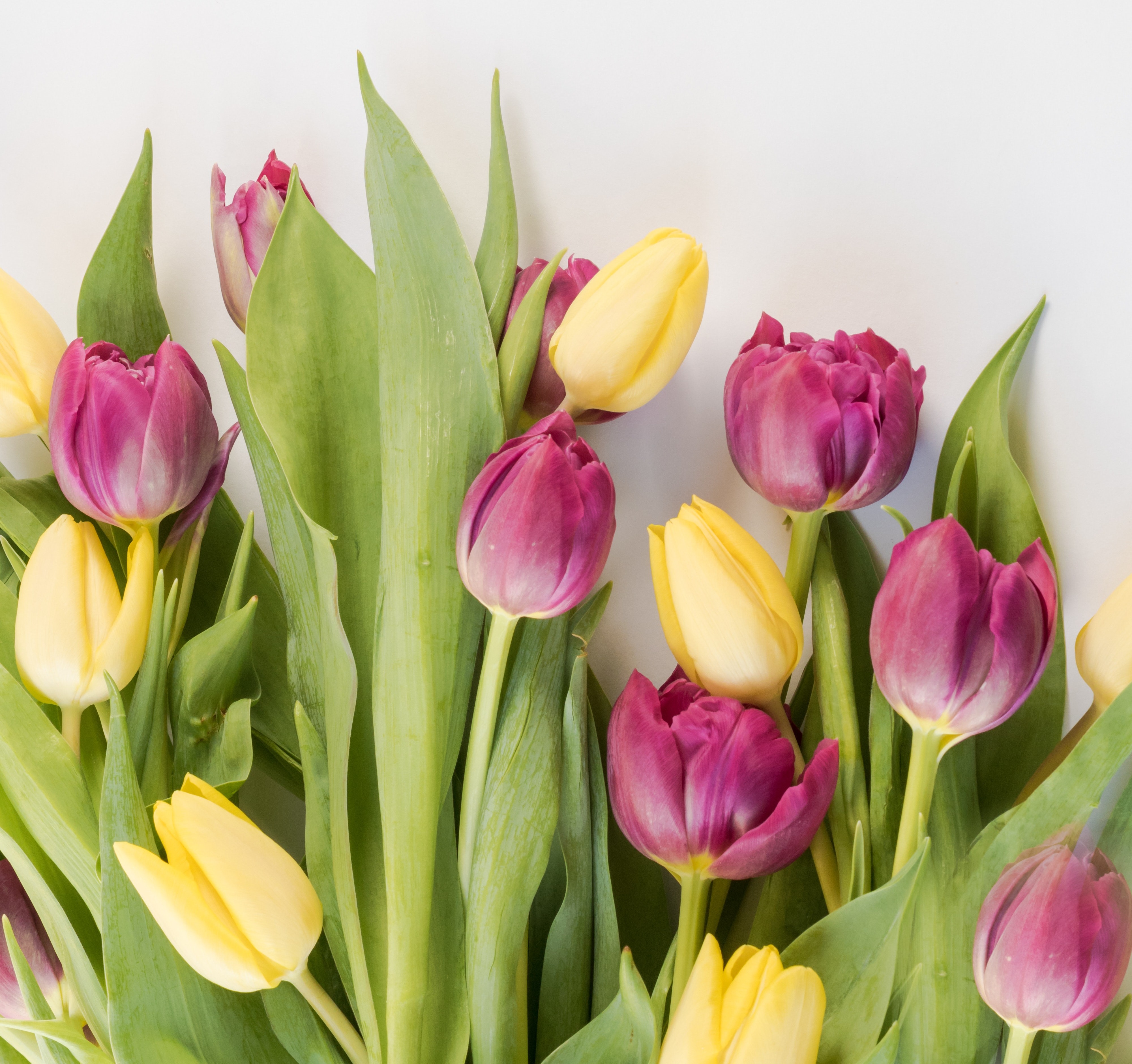 What to Expect from the 2023 Spring Real Estate Market header image.