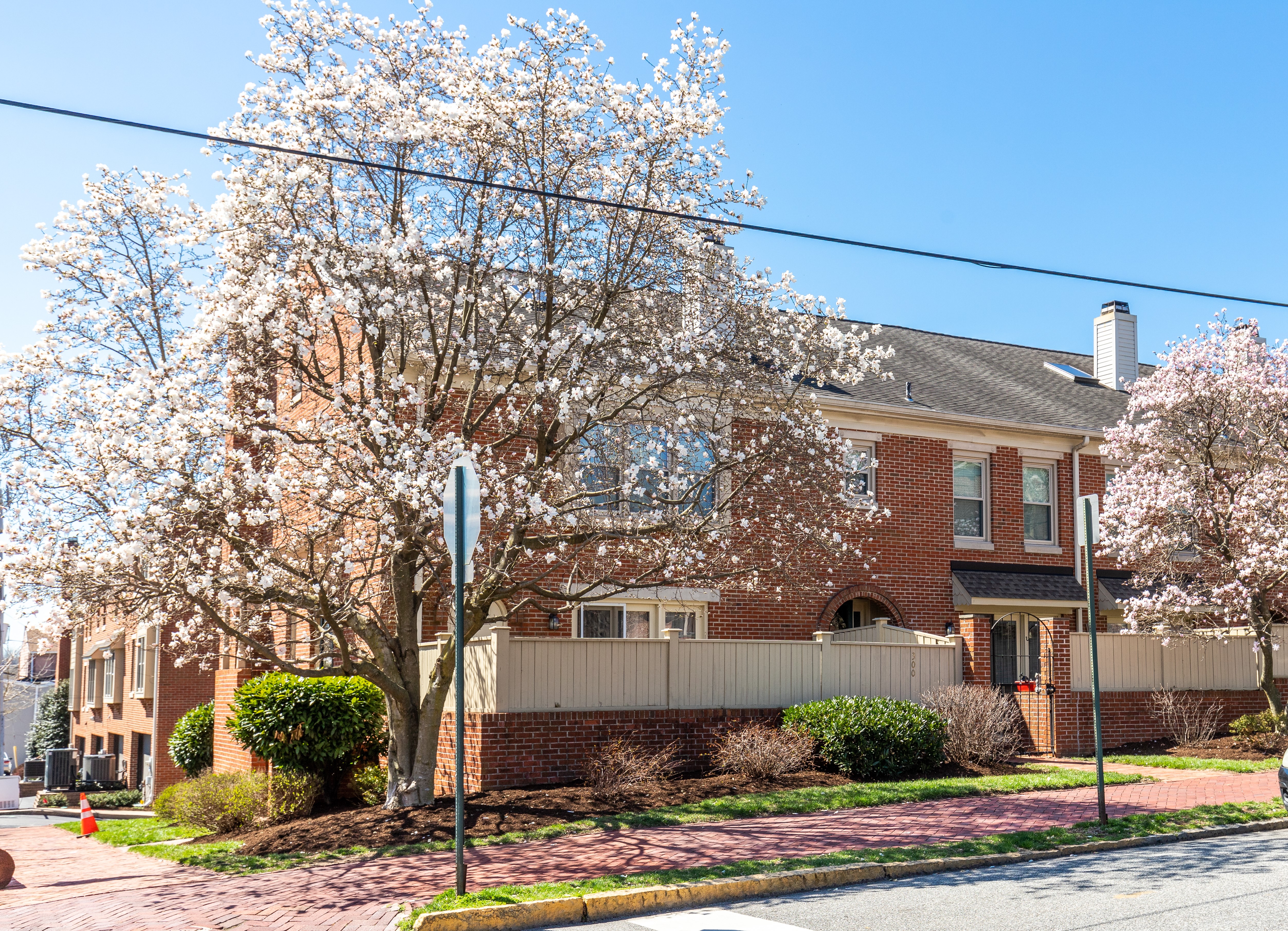 Moore-Maguire Achievements and Expert Market Forecasts header image.