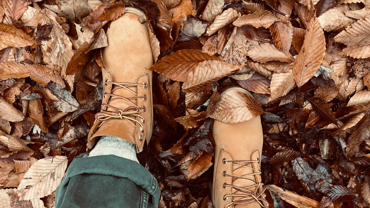 Best Hiking Trails in Chester County header image.