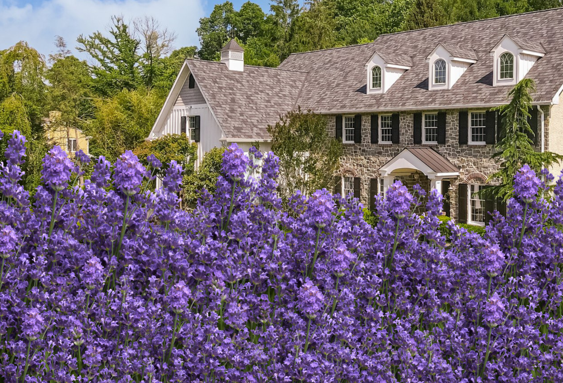 Advantage of Early Spring for Home Sellers header image.