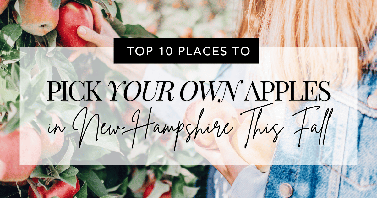 Where to Pick Your Own Apples in New Hampshire This Fall header image.