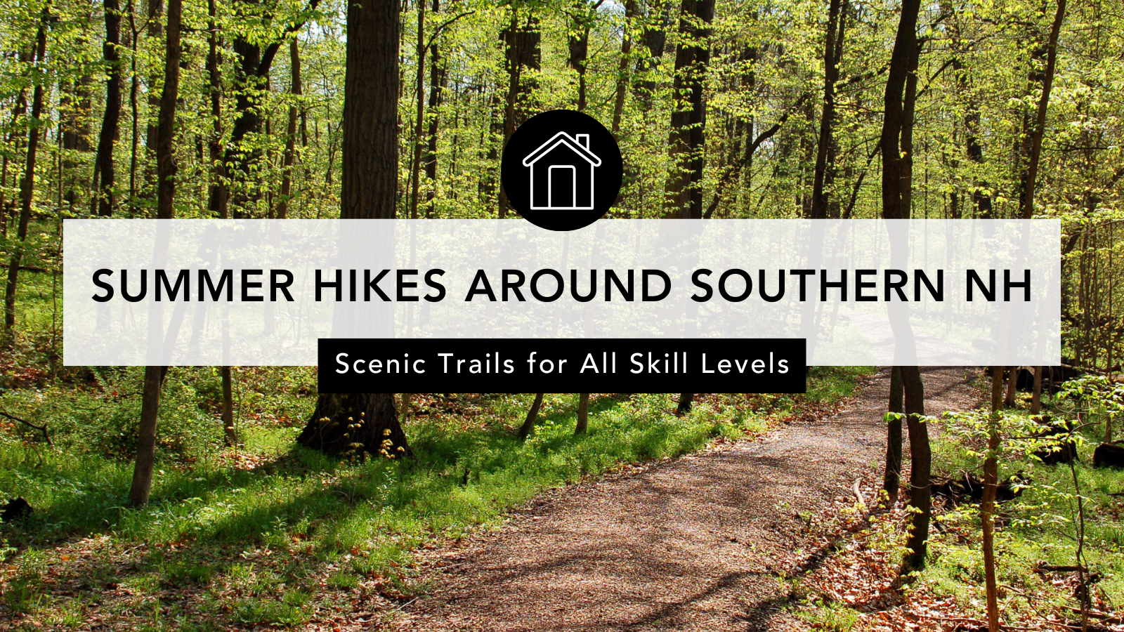 Summer Hikes around Southern New Hampshire header image.