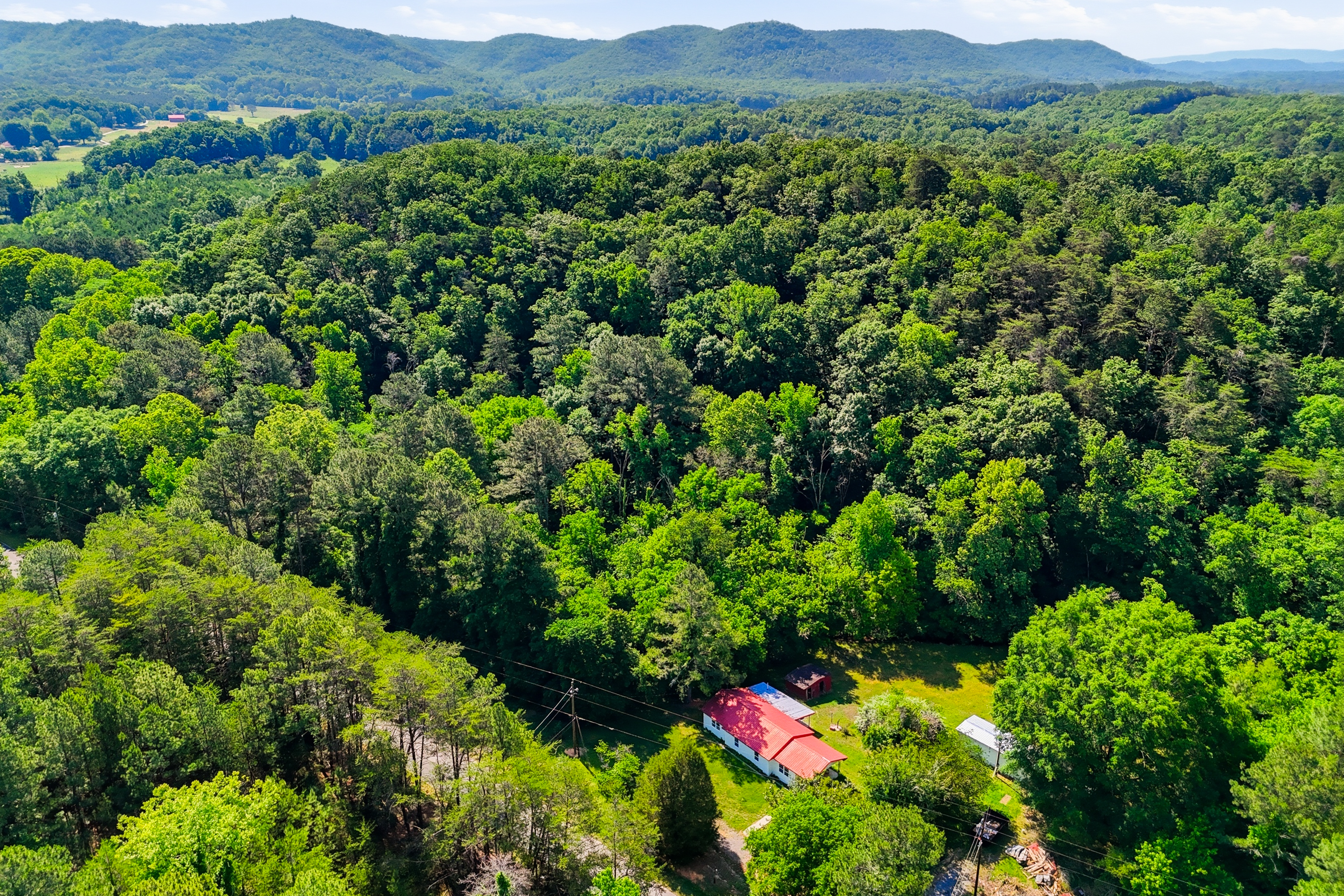 Ellijay vs. Blue Ridge: Which North Georgia Mountain Town Is Right for Your Cabin? header image.