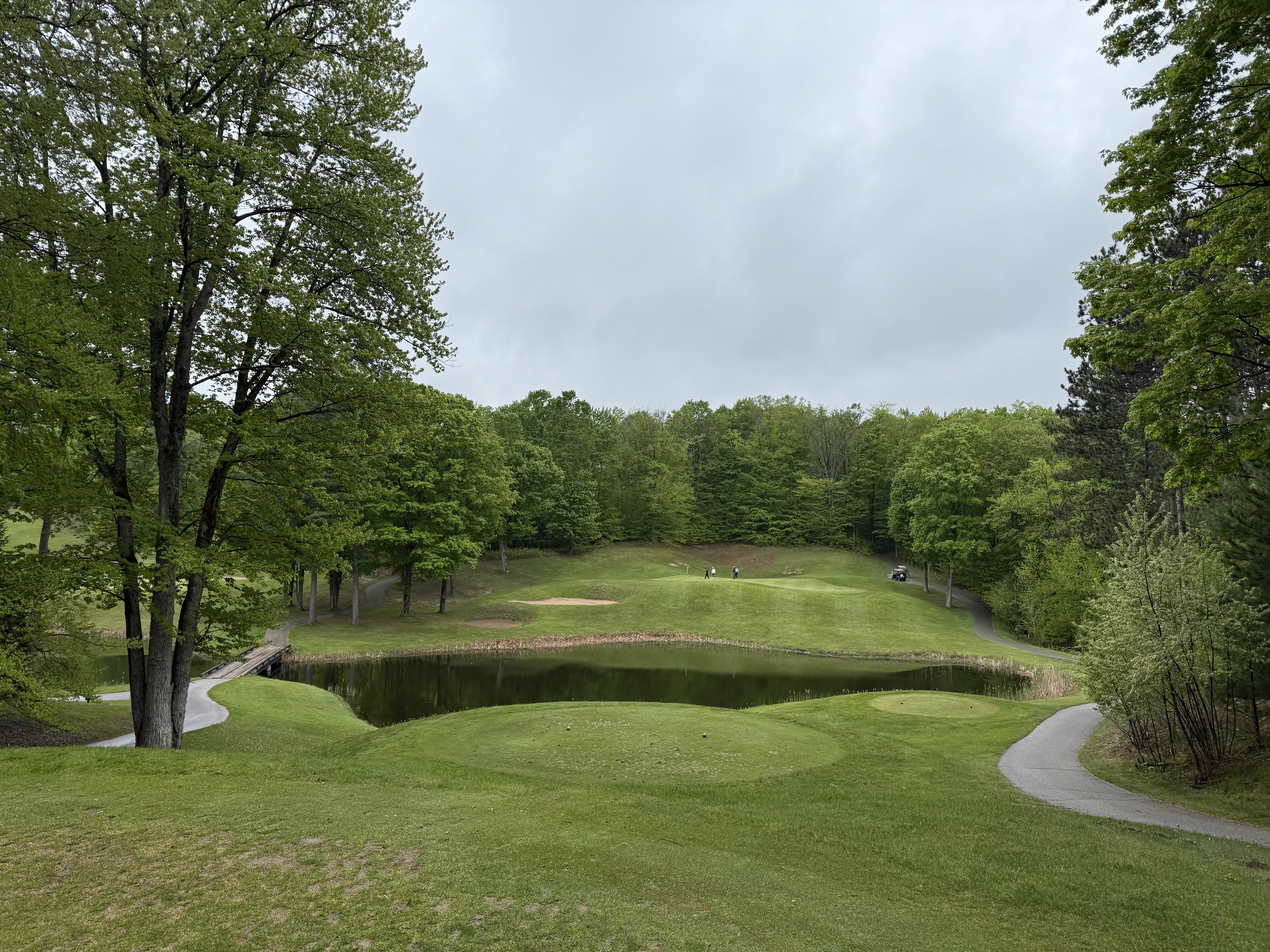 Shanty Creek Real Estate & Bellaire MI Living header image.