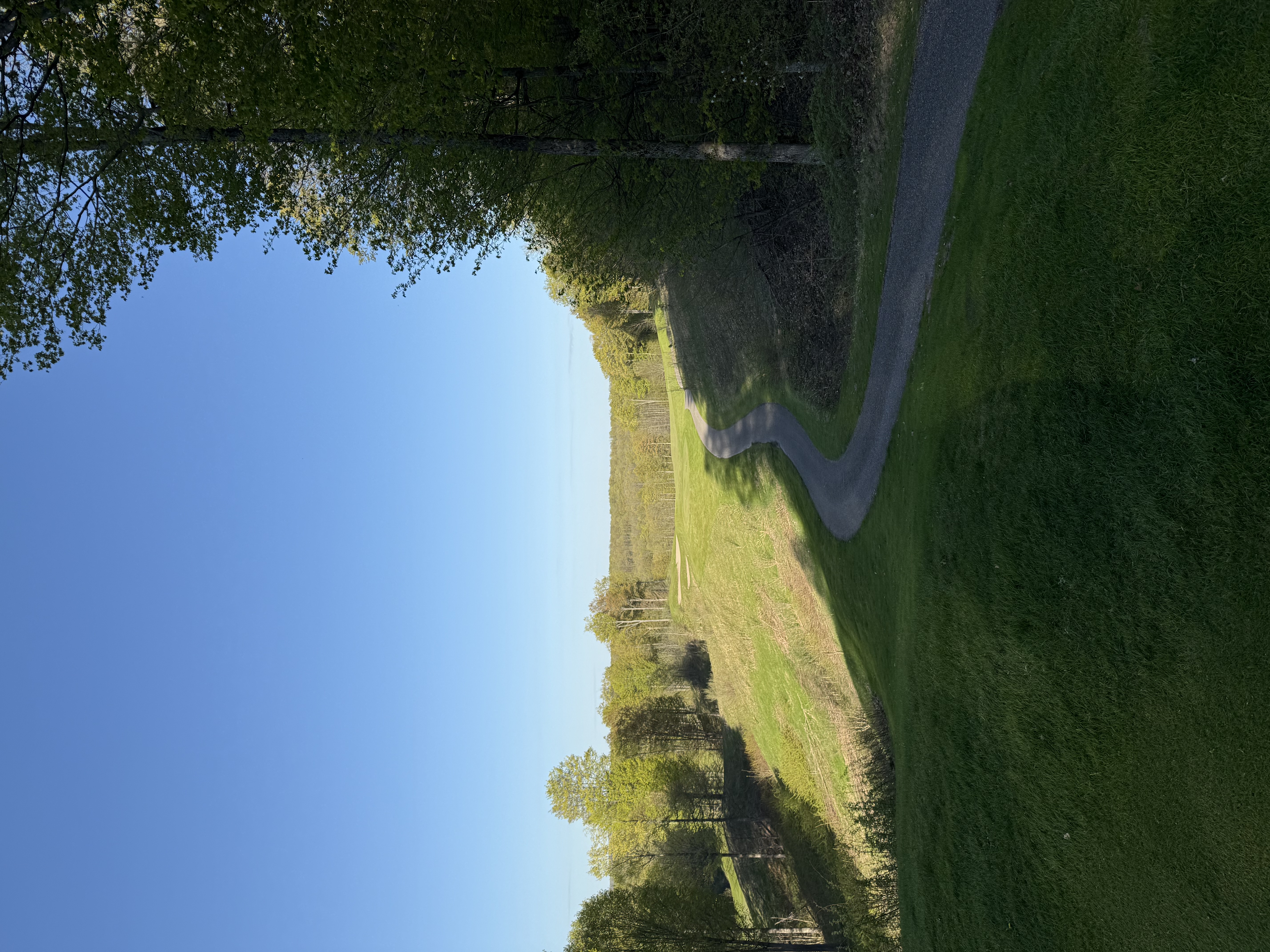 Shanty Creek vs. Bellaire & Northern Michigan Vacation Homes header image.