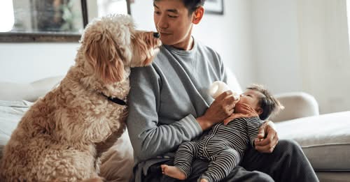 The Personal Joys of Having a Home To Call Your Own header image.