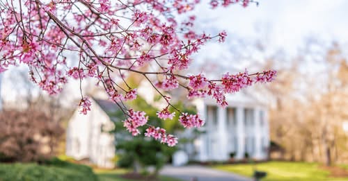 4 Ways To Make an Offer That Stands Out This Spring header image.