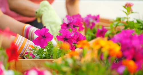 4 Things To Expect from the Spring Housing Market header image.