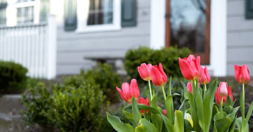 Spring Sellers Have an Edge. Here’s Why. header image.