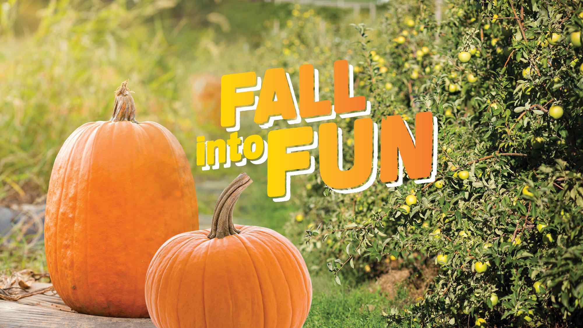Family enjoying a sunny fall afternoon outdoors in the Rio Grande Valley, Texas