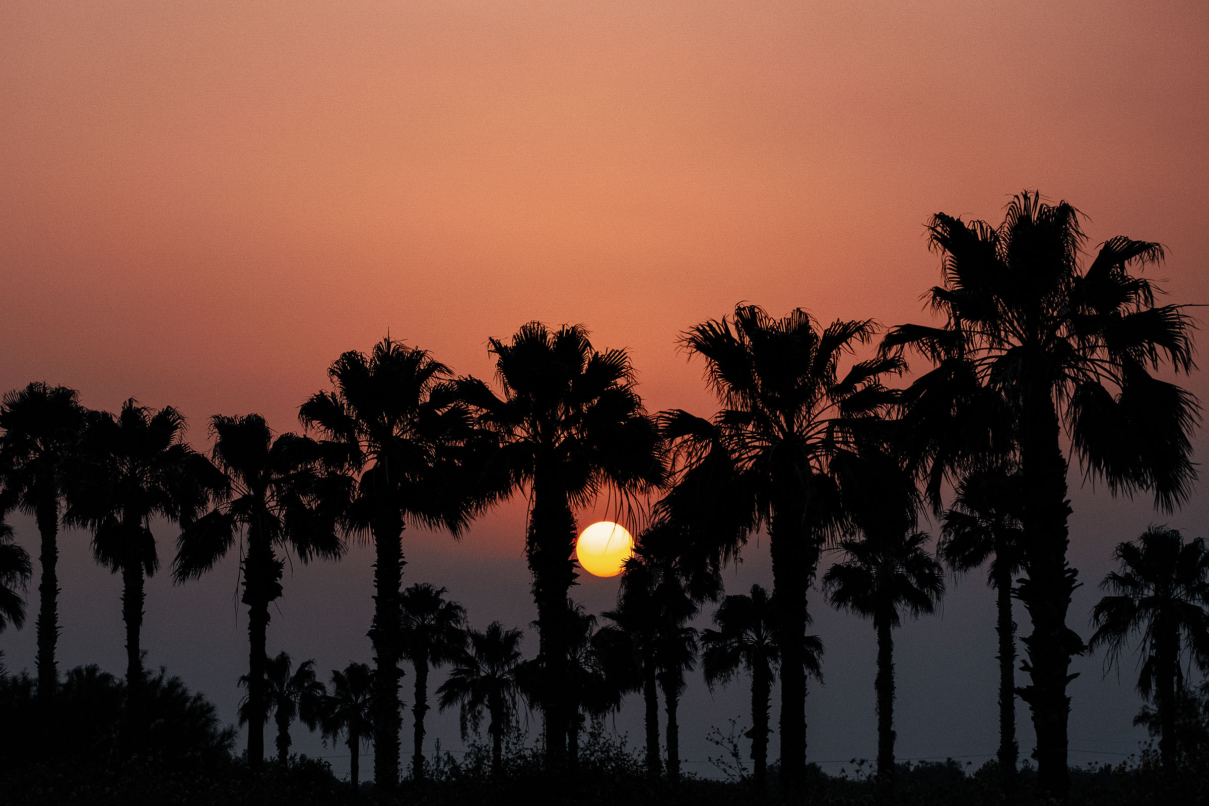 The Rio Grande Valley Boom: Texas’ Best-Kept Secret Isn’t a Secret Anymore header image.