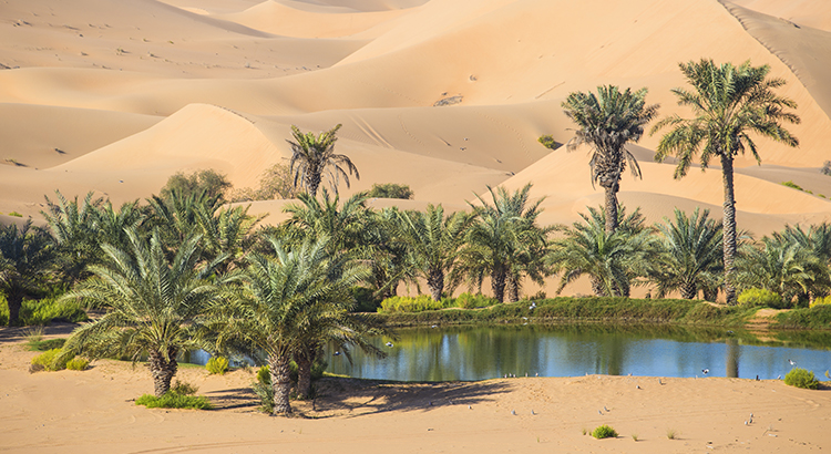 Your House Could Be the Oasis in an Inventory Desert header image.