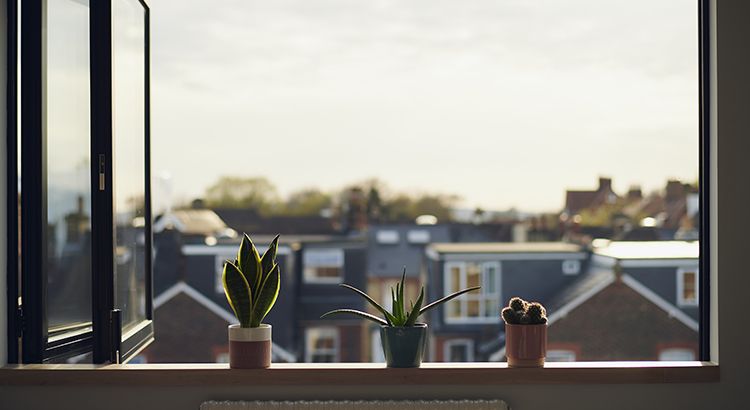 Why a Move Could Bring You More Happiness This Year header image.