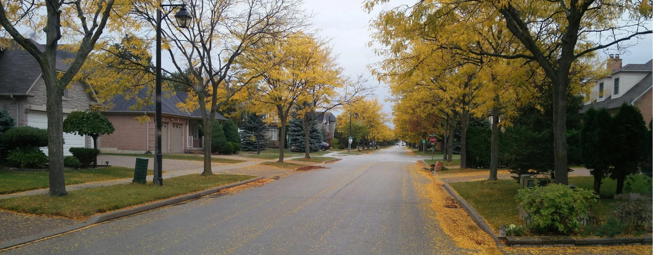 How Do I Handle a Home Sale If My Neighbor's Neglected Property Affects My Home's Value? header image.