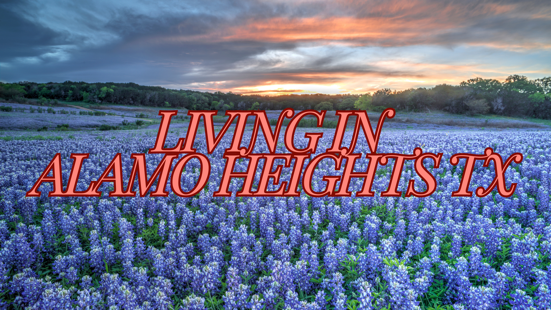 Living in Alamo Heights, San Antonio, TX: A Complete Guide header image.