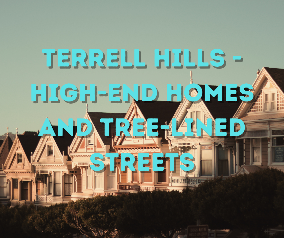 Terrell Hills - High-end homes and tree-lined streets header image.