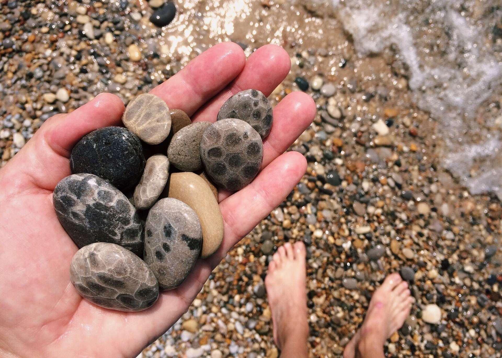 Petoskey Stones: A Unique Michigan Treasure header image.