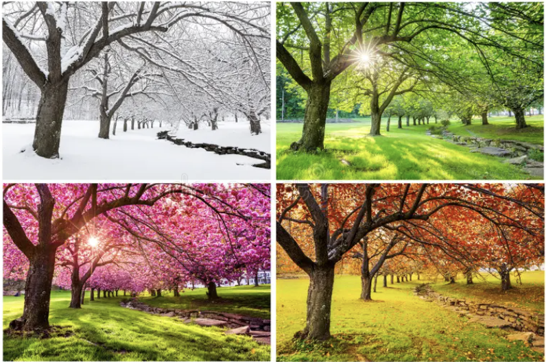 The Four Seasons: Northern Michigan Homes for Every Time of Year. Embracing the Beauty of the Changing Seasons in Your Dream Home header image.