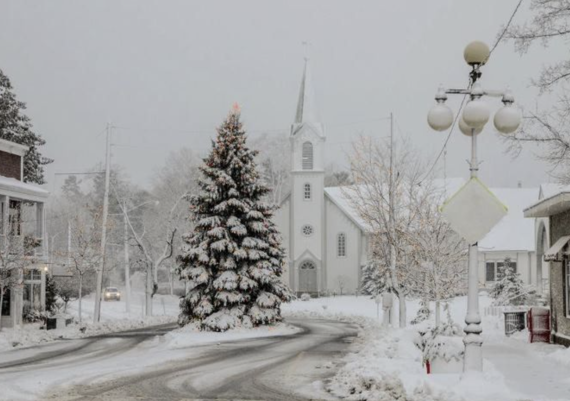 Navigating Winter Challenges in Harbor Springs: A Local Perspective header image.