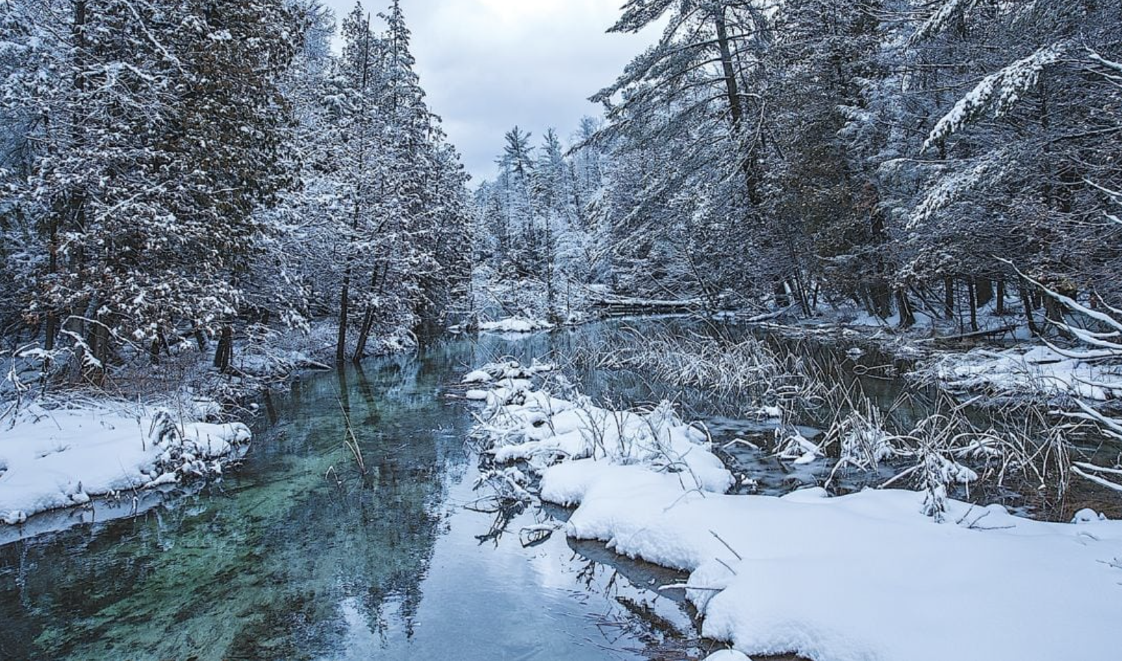 Winter Wonderland Activities in Northern Michigan: A Guide to the Season's Adventures header image.