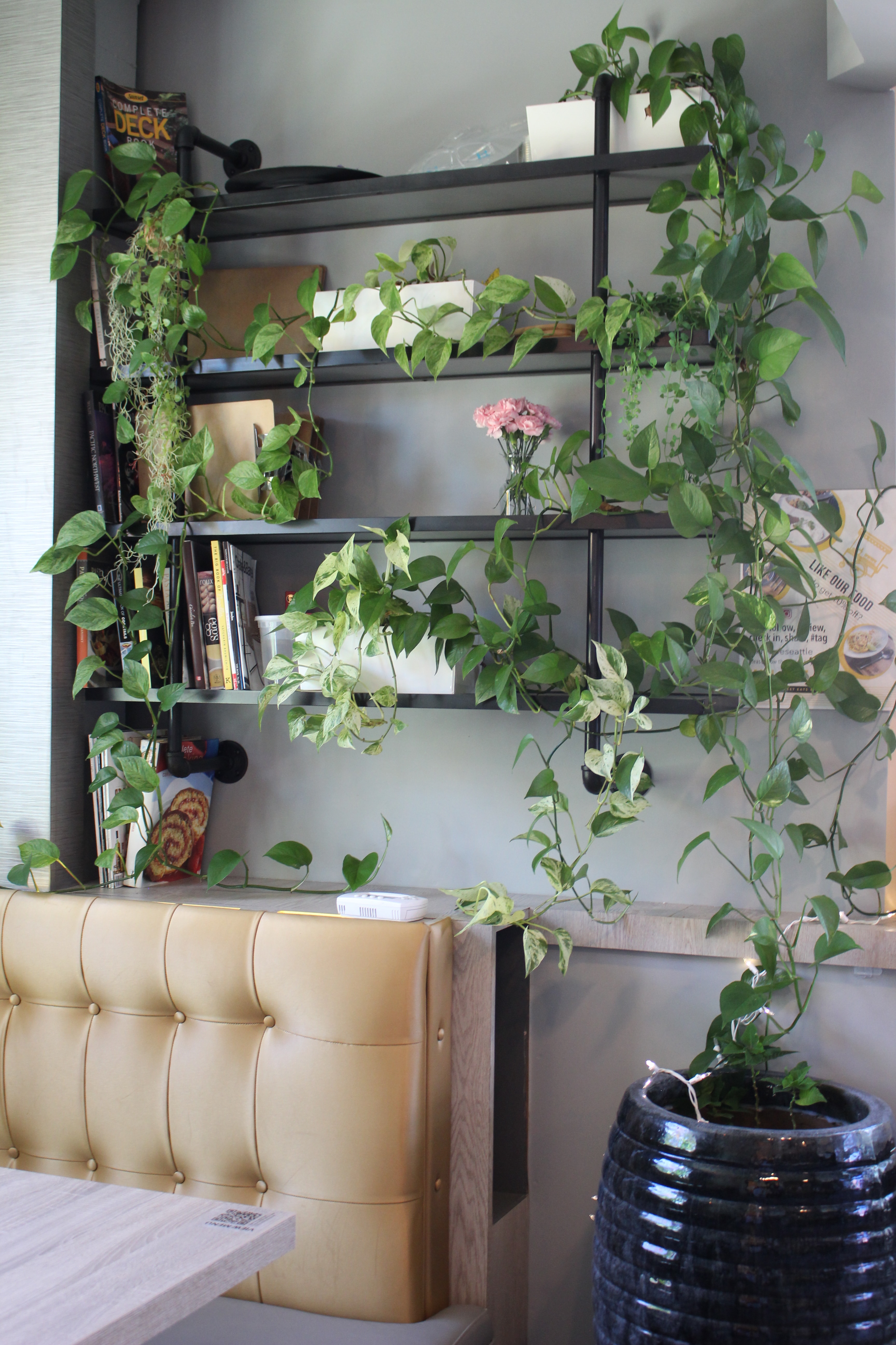 Refreshing Your Shelving for Spring header image.