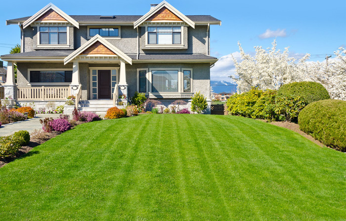 What to Expect When Selling With an Agent header image.