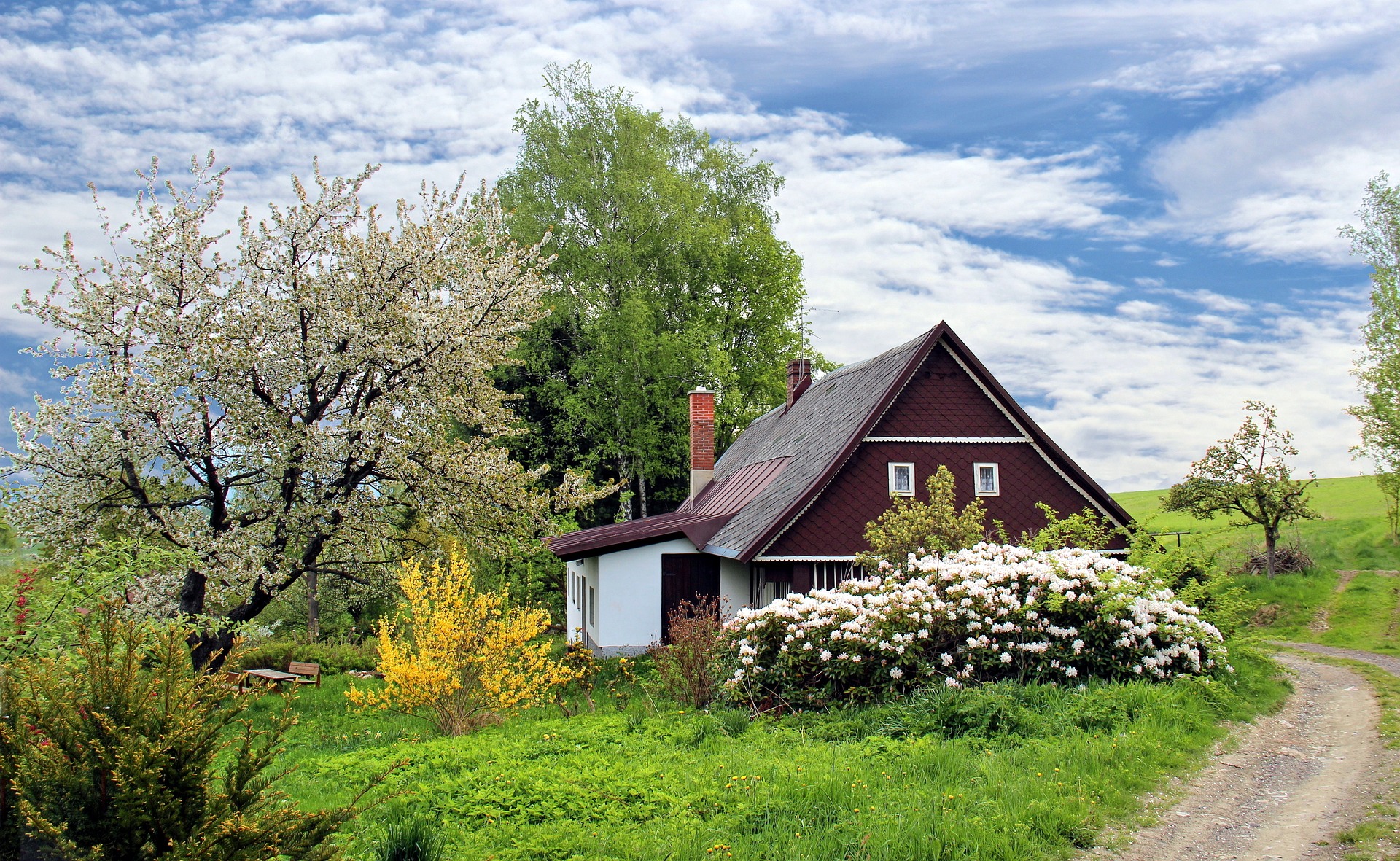 From Miami to Orlando: A Guide to Finding Your Perfect Home in Florida header image.