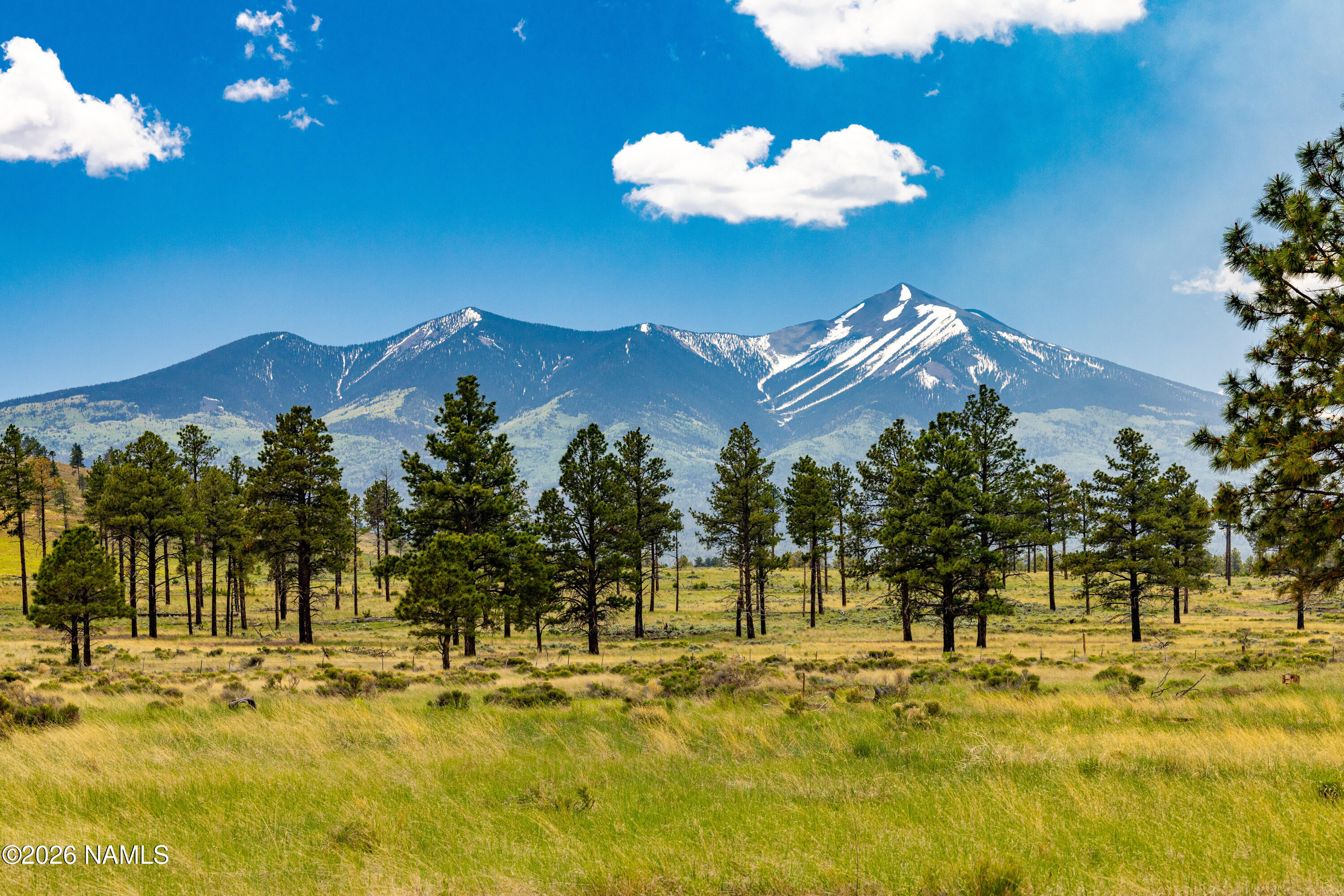 5.6-Acre Lot for Sale in Snowbowl Estates | Flagstaff, AZ