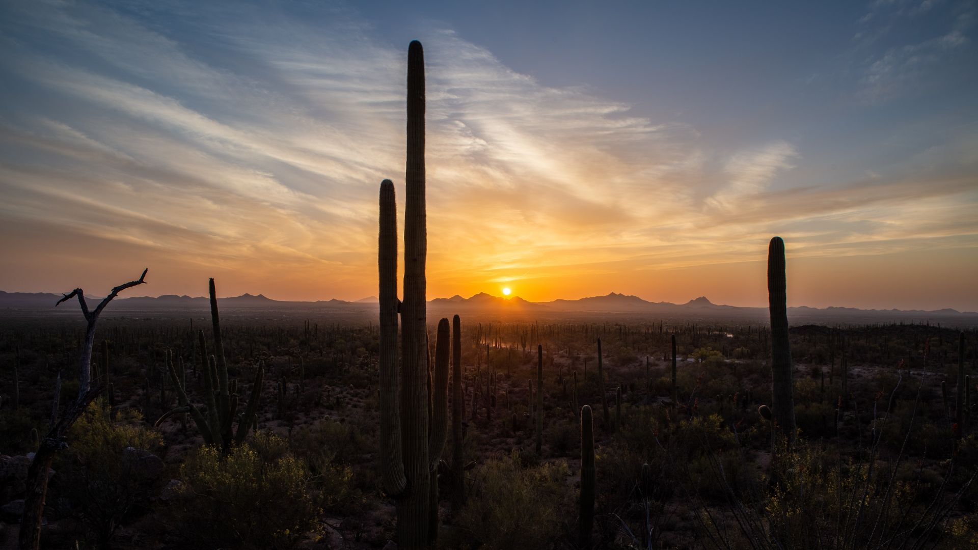 Peoria Arizona