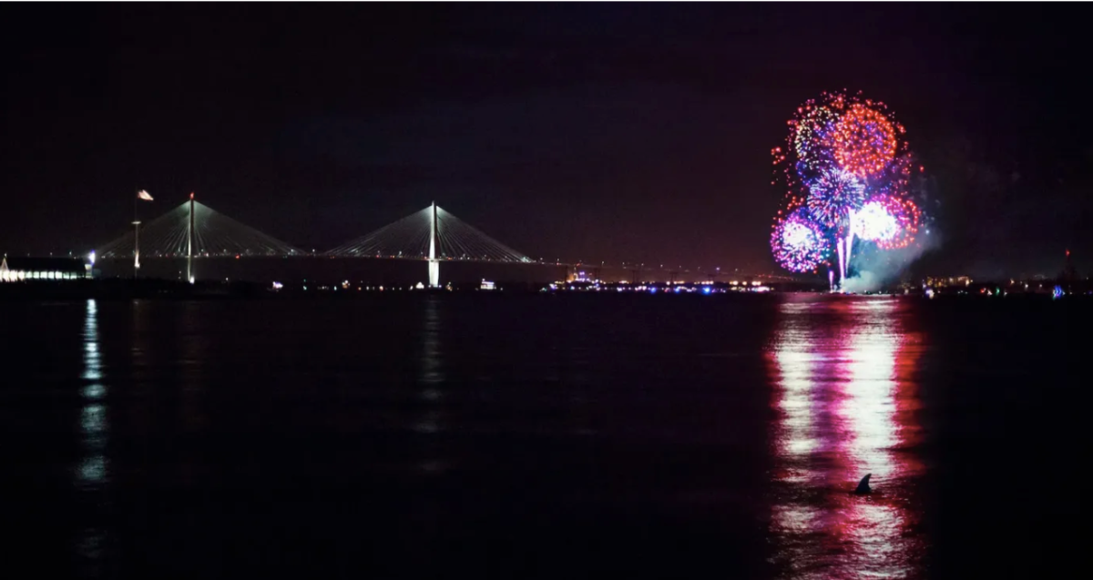 Celebrating Independence Day header image.