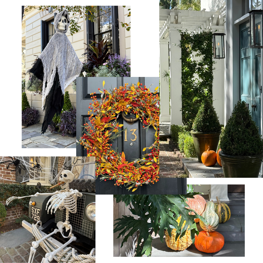Autumn in Charleston header image.