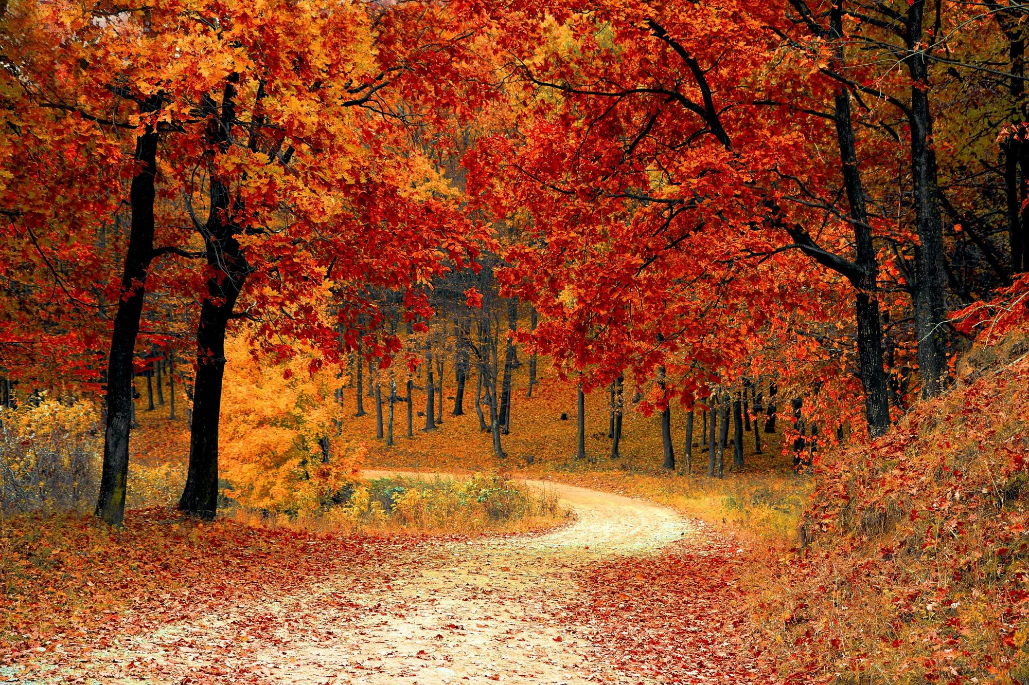 Fall = Hidden Gem Season for Homebuyers & Sellers header image.
