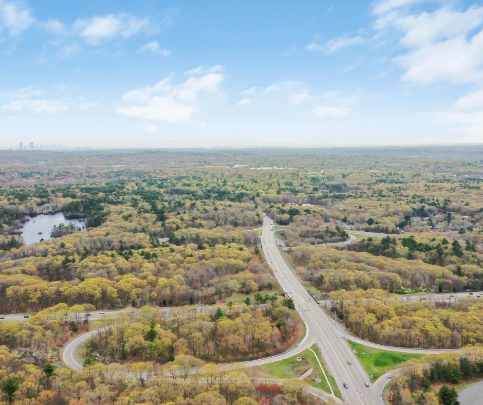 Westwood Day 2024 header image.