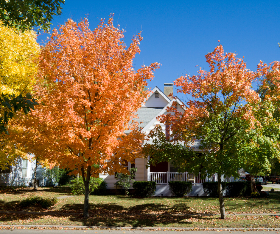 Fall Market Outlook 2025: What Buyers & Sellers Should Expect