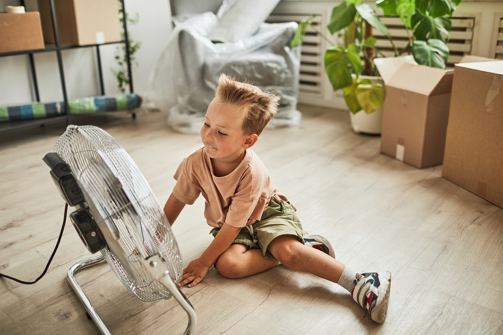 What to Know About Moving During a Heatwave header image.