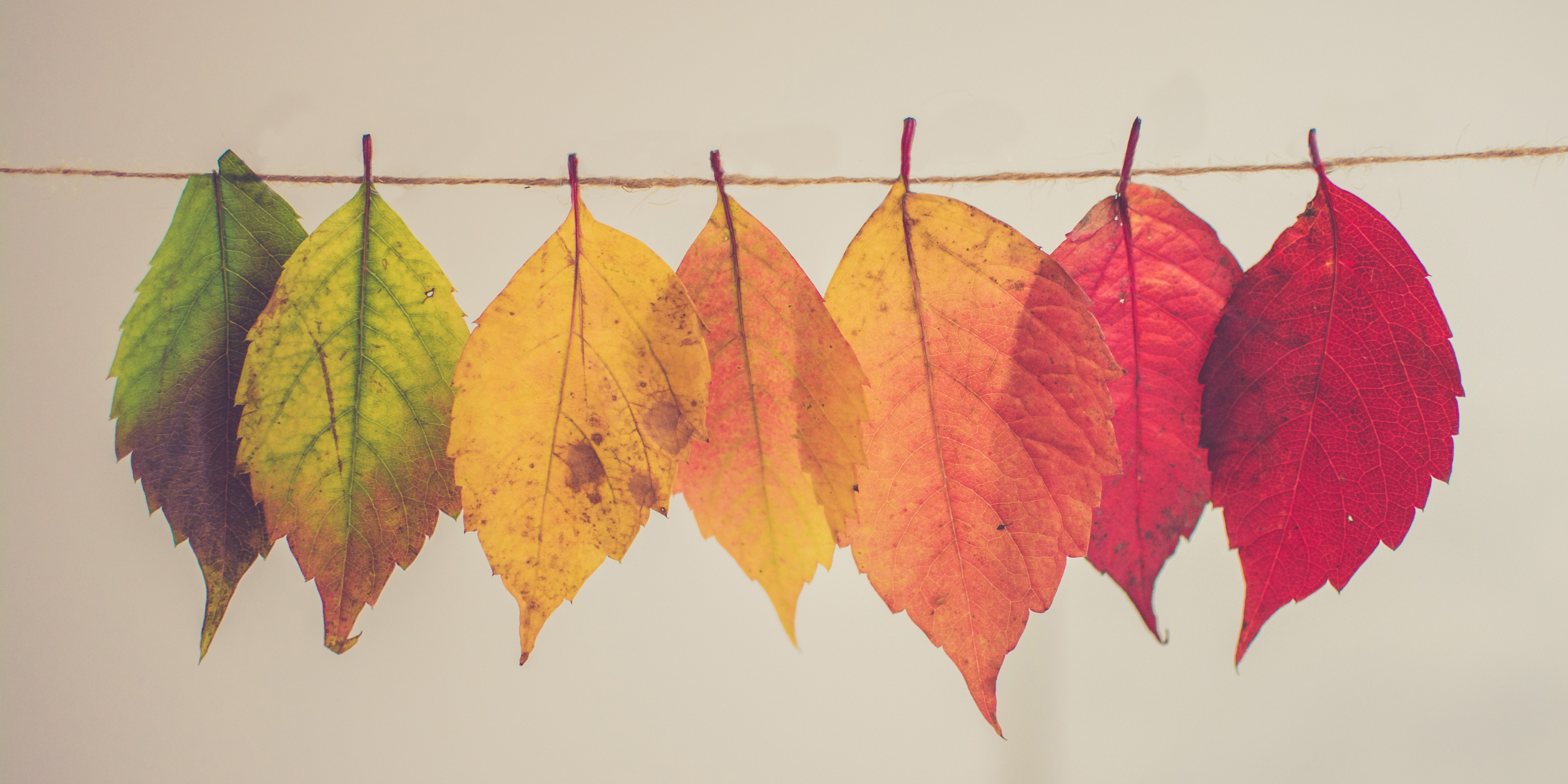 What's Happening in Atlanta? header image.