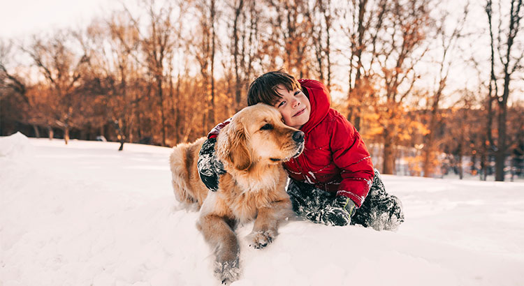 4 Reasons to Buy A Home This Winter! header image.