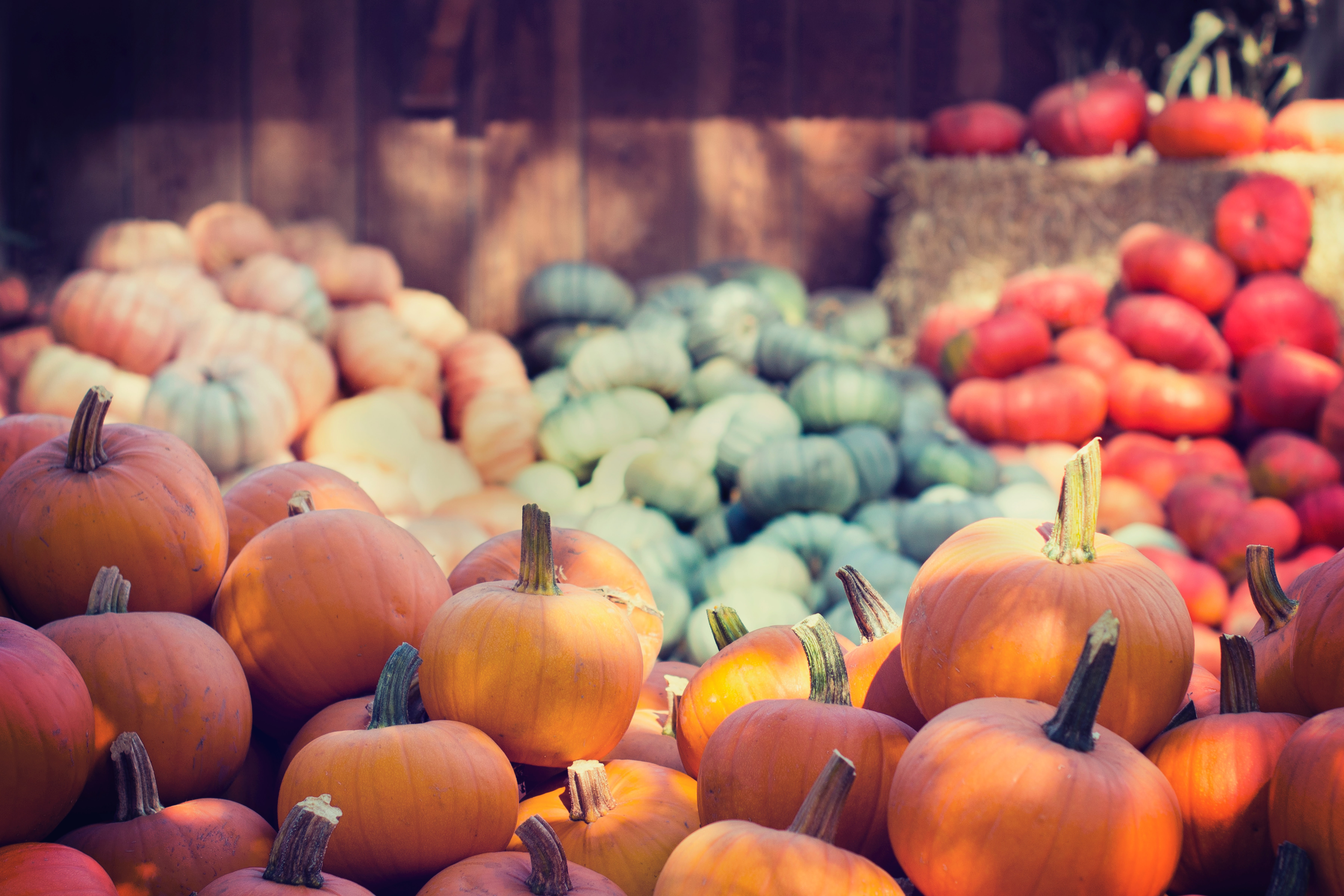 October Is Here! See What's Going On In Atlanta header image.
