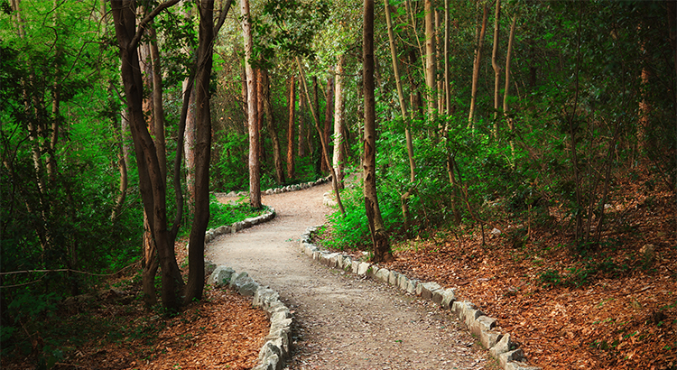 Where Are Mortgage Interest Rates Headed In 2019? header image.