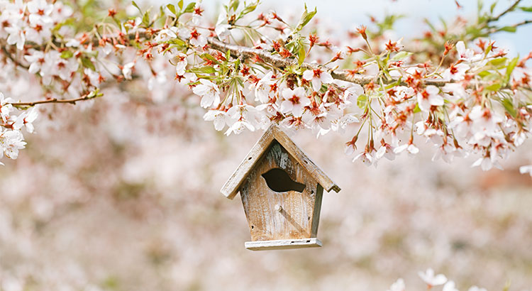 Data Says April is the Best Month to List Your Home for Sale header image.