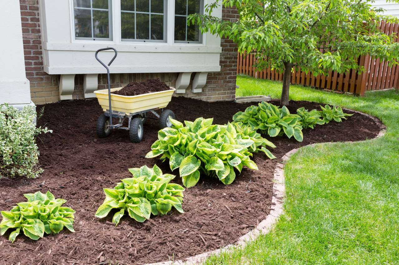 Spring Home Maintenance Tips to Protect Your Investment and Boost Home Value header image.