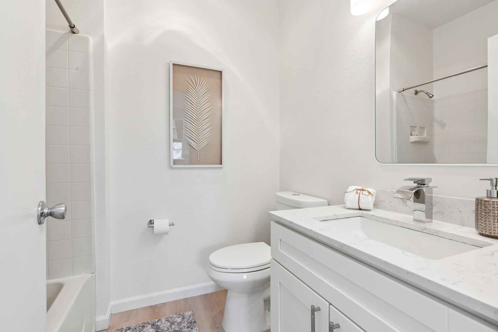 Updated bathroom vanity and shower-over-tub at 79 Lakeshore Ct, Richmond