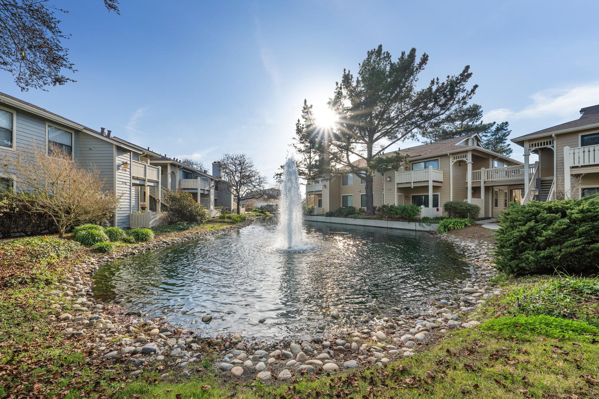 Landscaped lagoon and fountain in the Marina Bay community around 194 Lakeshore Ct
