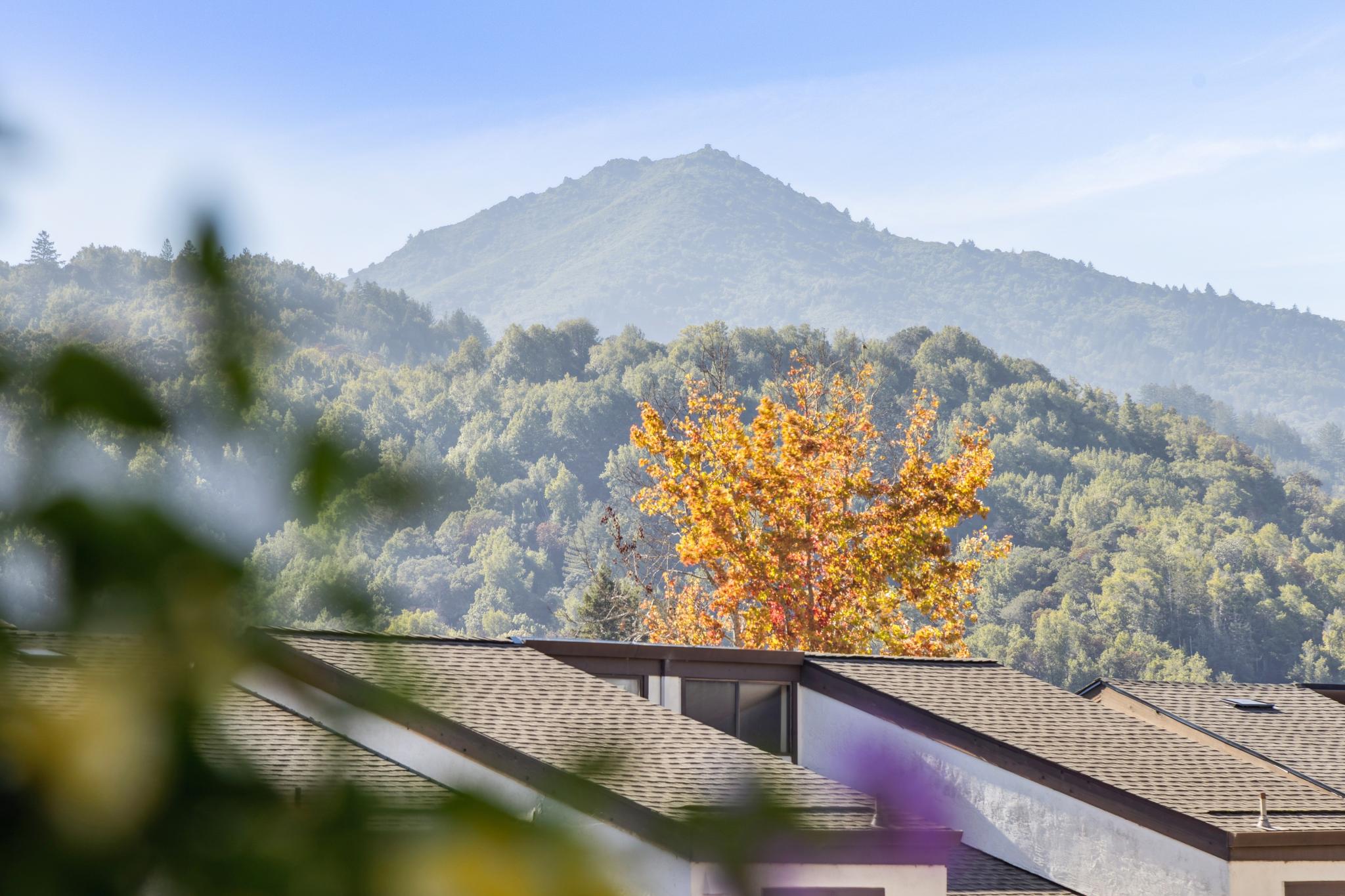 View of Mt. Tam directly from 45 Corte Real #1, framed by trees and landscaped foliage